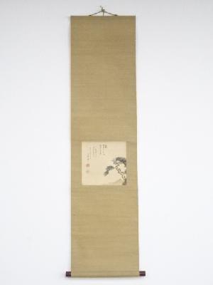 明治39年　長田雲堂筆　松図　肉筆絹本掛軸（保護箱）